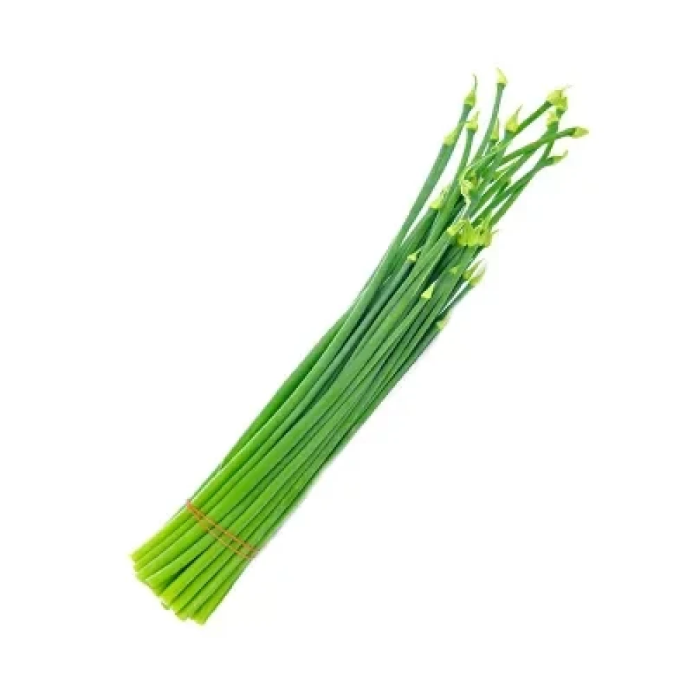 Onion Flower